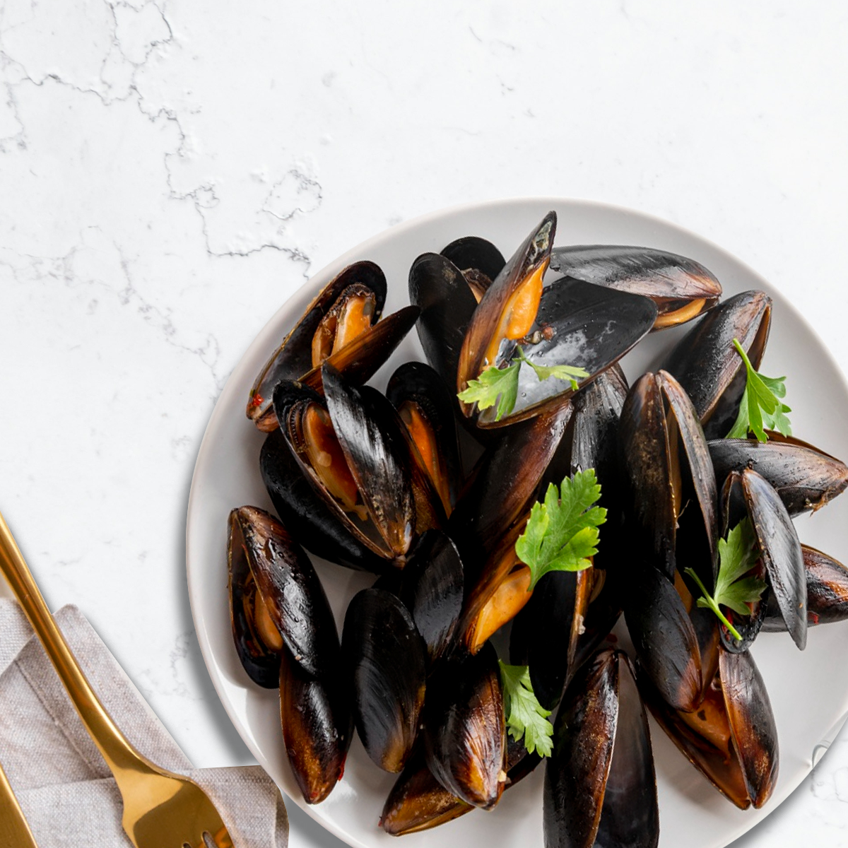 Mussels