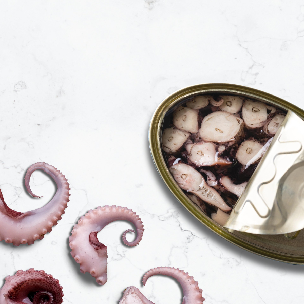 Octopus